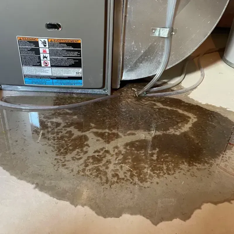 Appliance Leak Cleanup in Semmes, AL